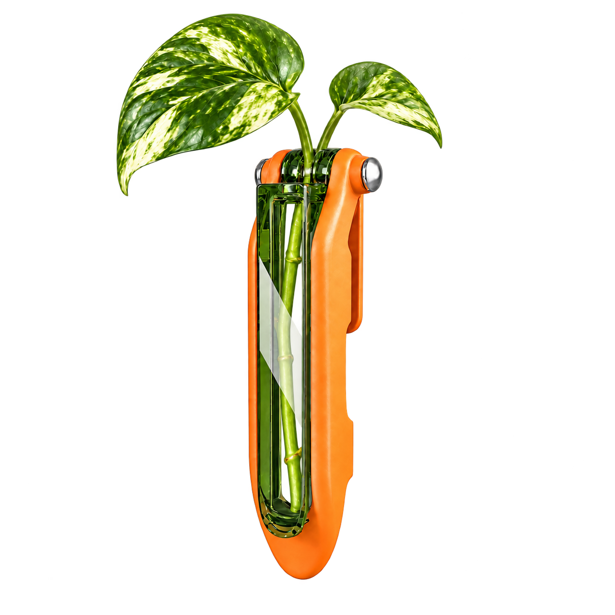 Cut & Run closed for carrying, with a vine inside its green enclosure and two variegated leaves emerging above